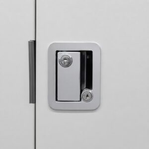 External View of a Flush Handle