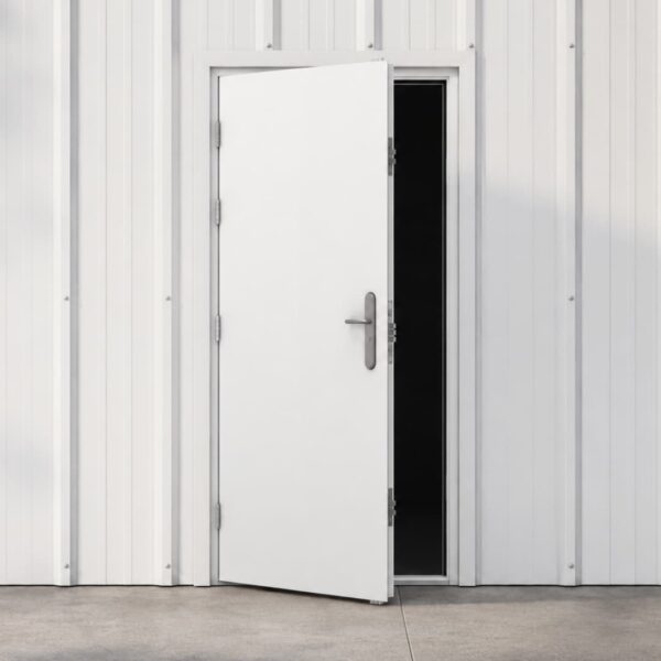 Single Steel Security Door & Frame Example