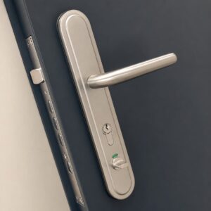 Toilet Door Handle Angled Internal View Example
